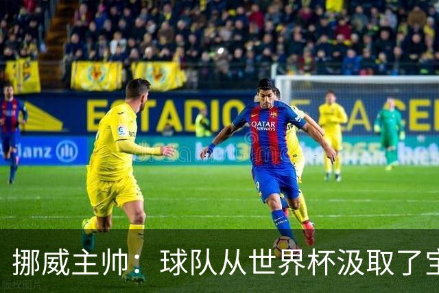 挪威主帅：球队从世界杯汲取了宝贵的经验，能在欧洲杯再攀高峰